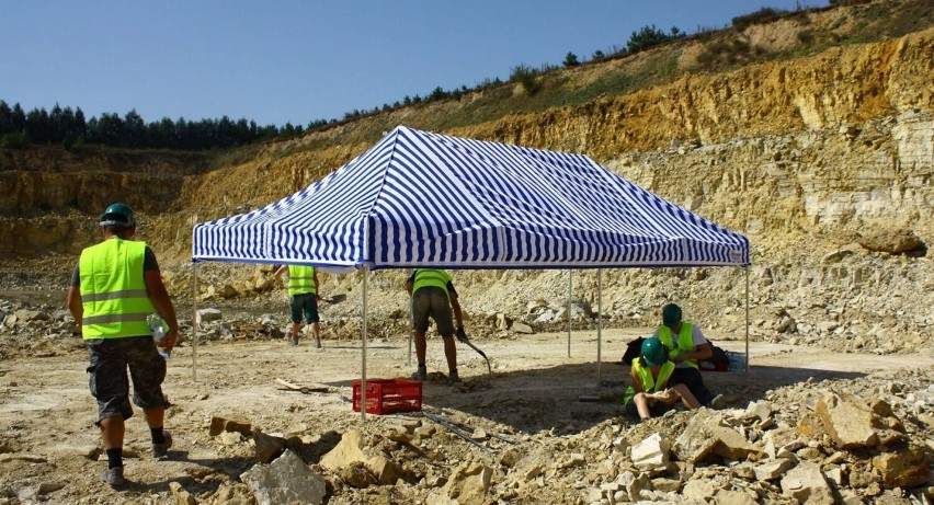 Trwają kolejne prace wykopaliskowe w Geoparku Owadów-Brzezinki. Paleontolodzy zapraszają na spotkanie