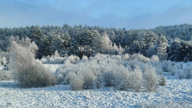 Zimowy krajobraz wygląda zachwycająco w obiektywie naszych Czytelników. Zobaczcie ich niezwykłe zdjęcia.