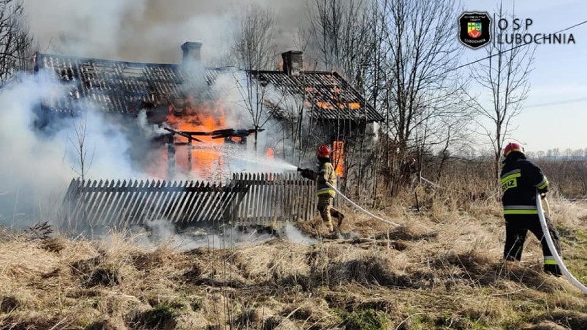 Pożar drewnianego budynku w gminie Lubochnia ZDJĘCIA