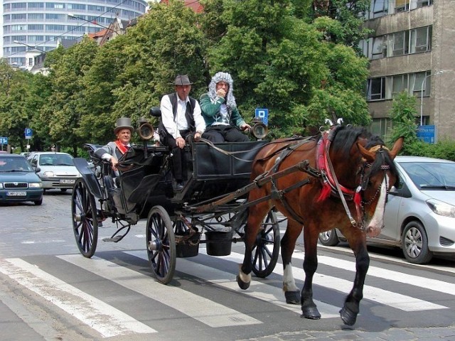 Ulicami Wrocławia, z Rynku do Hali Stulecia, zmierzał na otwarcie uroczystości urodzinowych Hali Stulecia książę  Fryderyk Wilhelm z małżonką.  W 1913 roku książę jechał na otwarcie obiektu tą samą, tyle, że zatłoczoną dorożkami ulicą.  Fot. J.Bieleńko