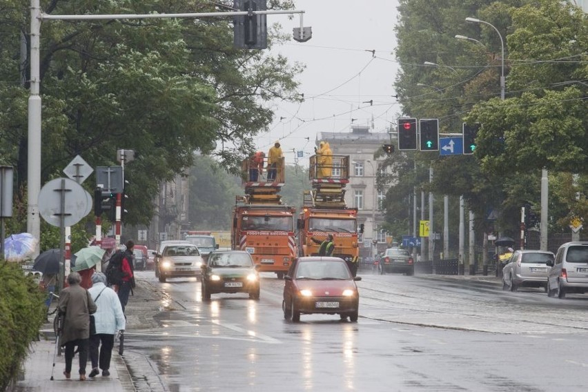 Wrocław: Zwalone drzewo uszkodziło trakcję na Piłsudskiego. Tramwaje jeździły objazdami (ZDJĘCIA)