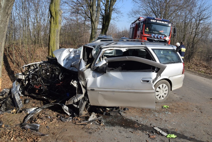 Śmiertelny wypadek na trasie Robaków - Czołnochów