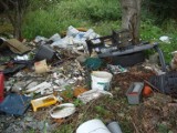 Wyrzucali śmieci w lesie przy ulicy Granicznej we Włocławku. Ukarani zostali mandatami
