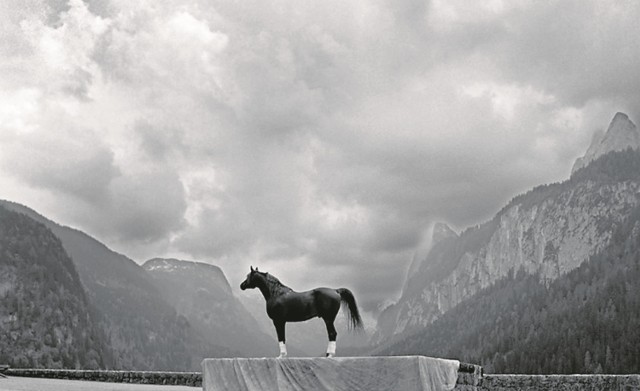 Horst Stasny, "Anilin" 1989 r. Z wystawy "Świadkowie czasów - fotografia w Austrii po 1945 roku"