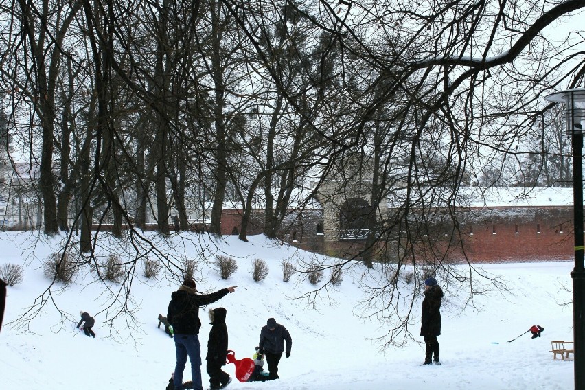 Zimowa zabawa w zamojskim Parku Miejskim