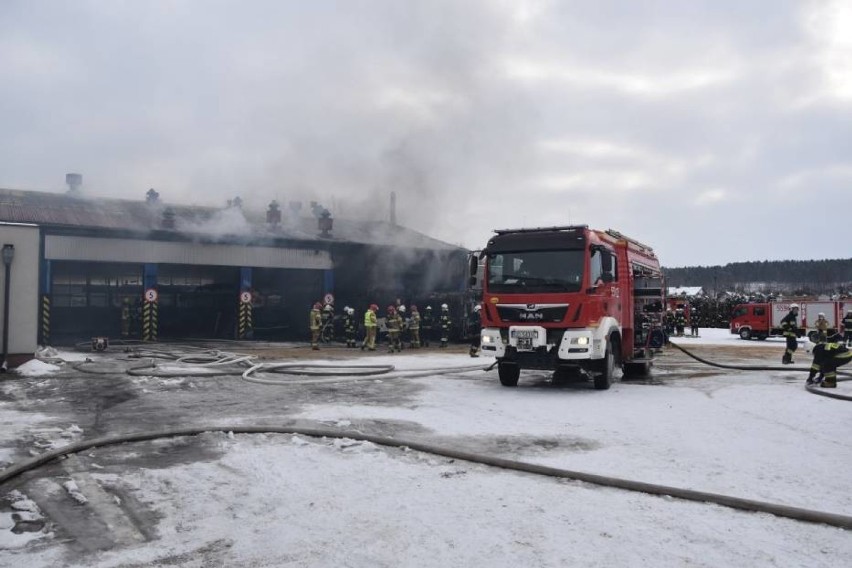 Niedzielny pożar w MZK Wejherowo. Zniszczeniu uległy dwa pojazdy i hala warsztatowa| AKTUALIZACJA