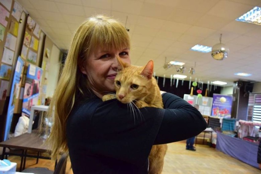 Poznajcie bliżej kobiety z Inowrocławia, które po godzinach pomagają kotom