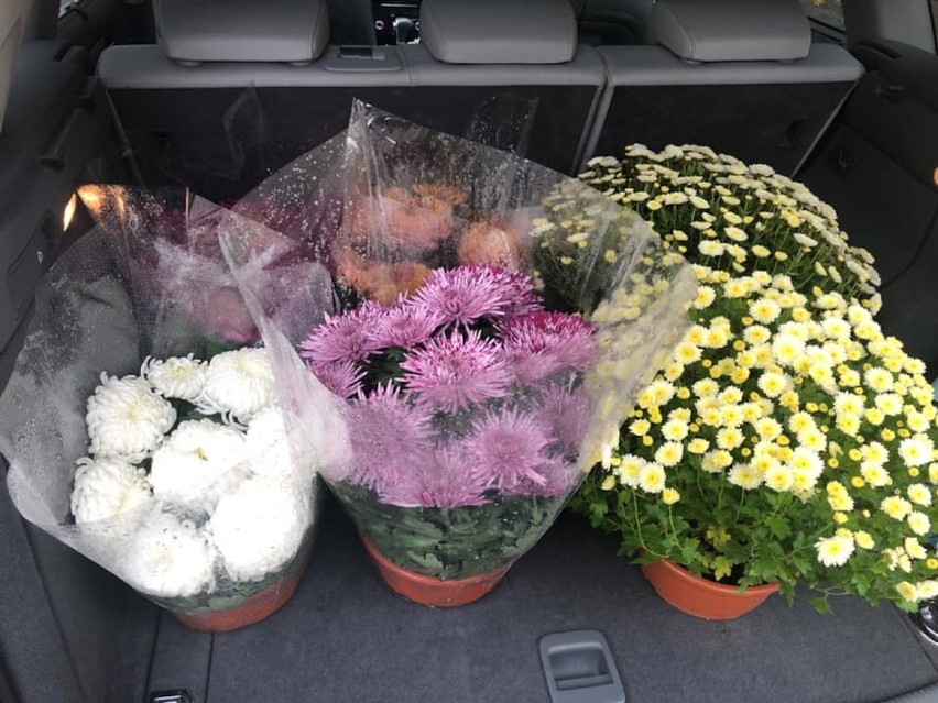 Głogów: Ulgi dla handlarzy kwiatów i zniczy. Prezydent zapowiedział wsparcie