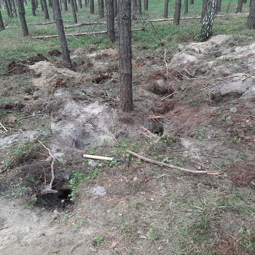 Kolejna akcja działaczy Przytul Pyska. Tym razem pomocy potrzebowały szczeniaki ze Zbytowej 