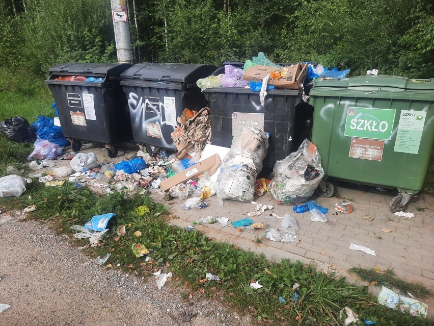 Dzikie wysypiska śmieci w gminie Prabuty! Urzędnicy biją na alarm: "Korzystajcie z PSZOK, to nic nie kosztuje"