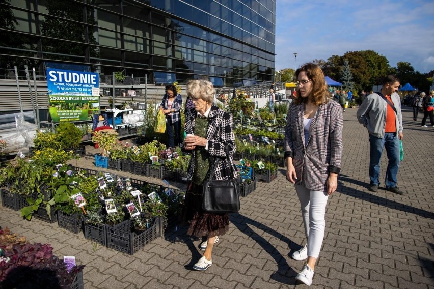 Przez dwa dni - sobotę i niedzielę, 25 i 26 września - przy...