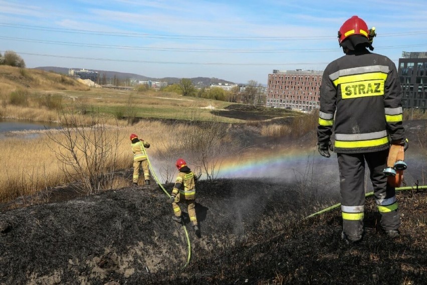 Rusza kampania stop  pożarom traw! Konińscy strażacy apelują o ich niewypalanie