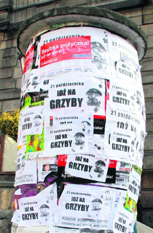 Plakatami "Idź na grzyby" zasypano całe Kłodzko