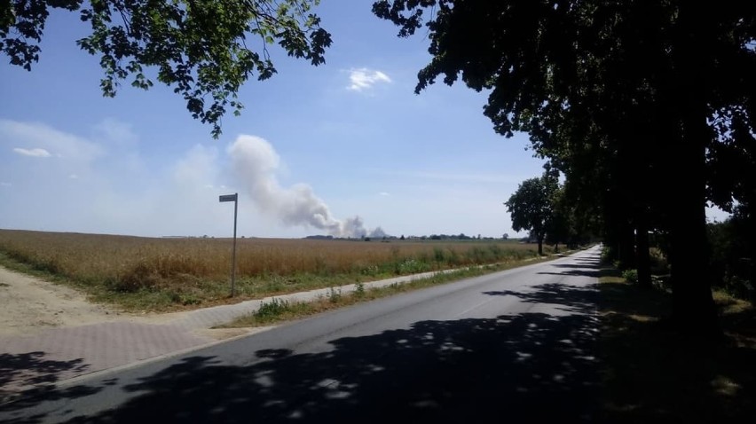 Duży pożar zboża na polu w powiecie wrzesińskim