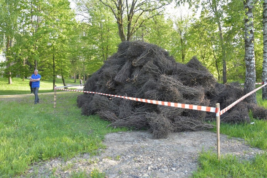 Tężnia to budowla z drewna i gałęzi tarniny służąca do...