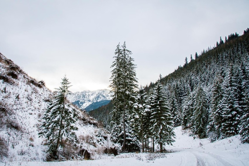 Tatry. Zimowa wycieczka do zapomnianej i odludnej Doliny Lejowej