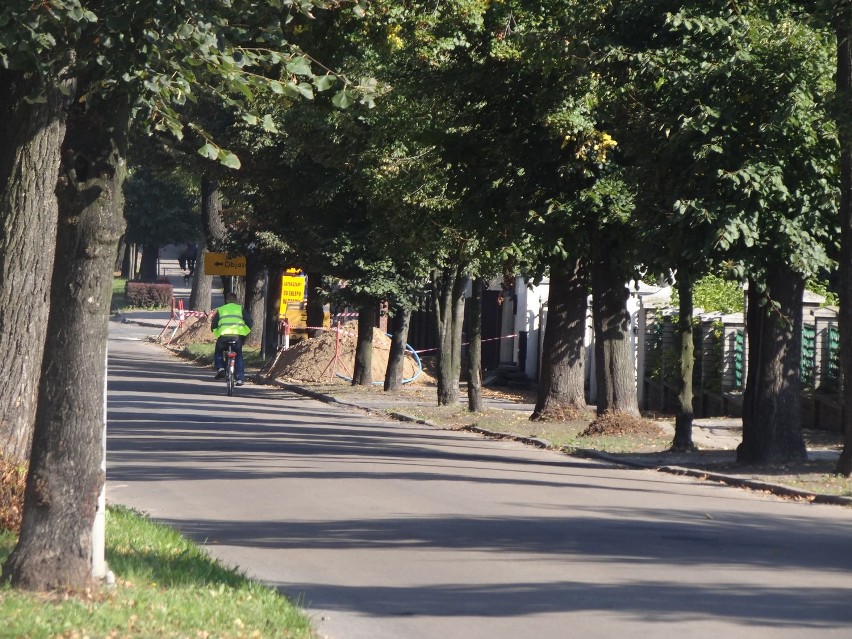 Remont ulicy Podgórnej tuż, tuż. Dni drzew są policzone