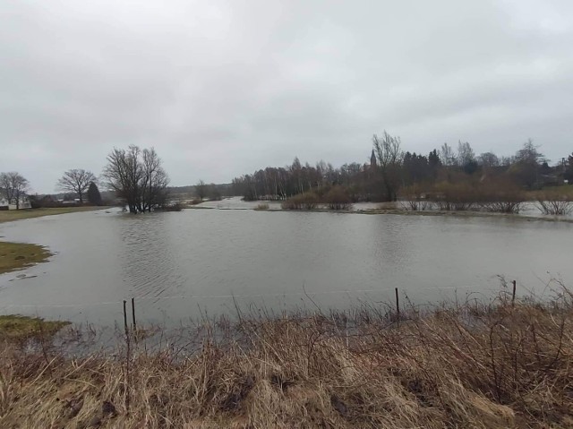 Rzeka Wieprza - okolica Kowalewic w gm. Darłowo