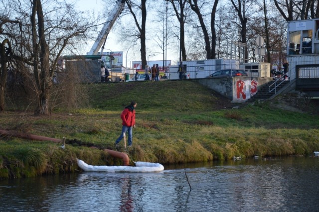 Oleista substancja zanieczyściła rzekę Wolbórkę. Zbada ją WIOŚ