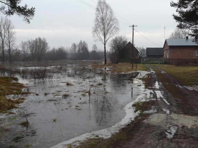 W Szczepocicach woda, która wylała z Warty podchodziła do ulicy