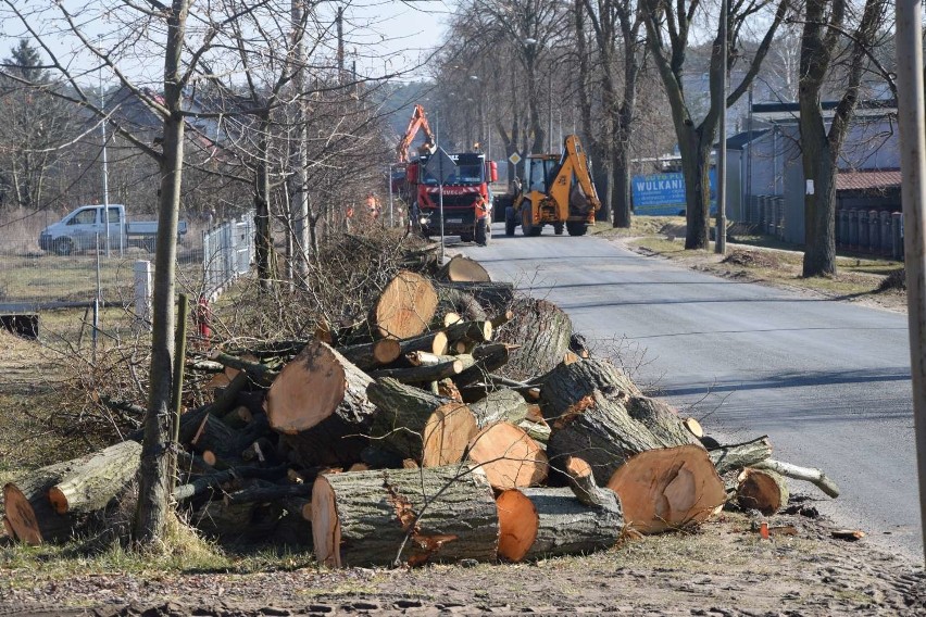 Wycinają drzewa przy remontowanej ulicy Antoniewskiej w Skokach. Do kiedy potrwają prace związane z przebudową wylotówki miasta?