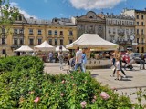 Kraków. Arcydzieła, luksusowe i unikatowe książki na kiermaszu na placu św. Ducha. Zobacz zdjęcia!