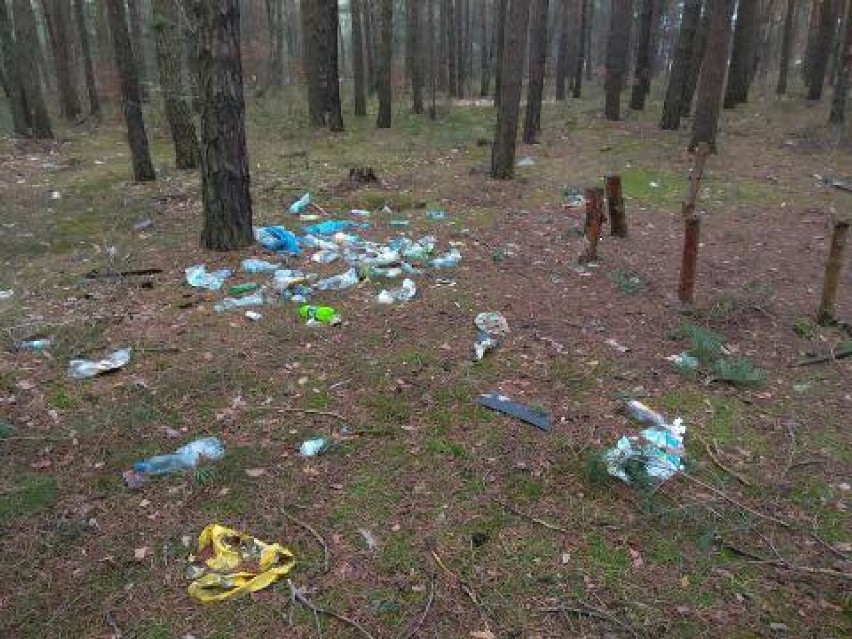 Sterty śmieci w lasach. Strażnicy namierzają sprawców [ZDJĘCIA]