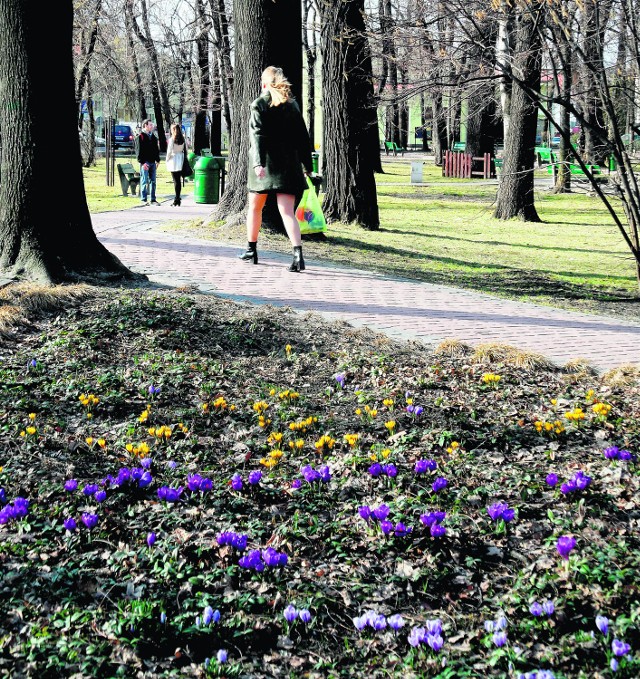 Kiedy świeci słońce, dzieci bawią się już na placach zabaw