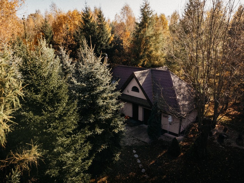 Pieńki Wiewiórki w podwarszawskiej wsi. Uroczy dom w lesie odcięty od świata. Tam dokonasz resetu od codzienności