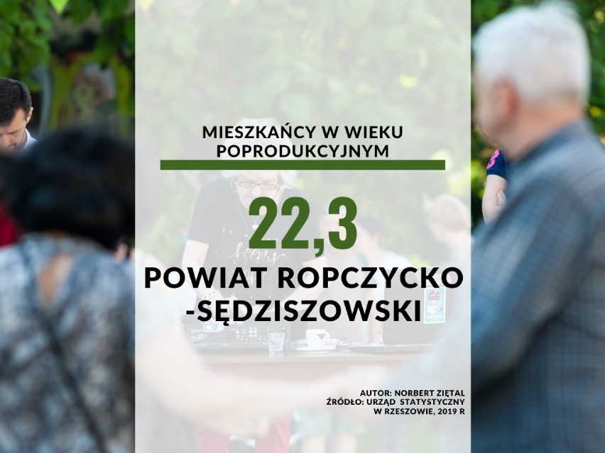 24. miejsce - powiat ropczycko-sędziszowski - 22,3 ludzi w...