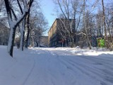 Brak prądu na Śląsku i w Zagłębiu. Śnieg pozrywał linie energetyczne