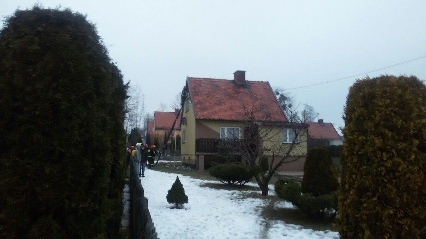 Pożar domku fińskiego na ul. Traugutta w Lędzinach
