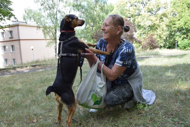 Zielona Góra. Lipiec 2019 rok. Tak obecnie wygląda park Tysiąclecia. Pani Danuta codziennie chodzi tu ze swoją suczką, Sonią. Jak mówi na terenie parku przydałby się jakiś wybieg dla psów.