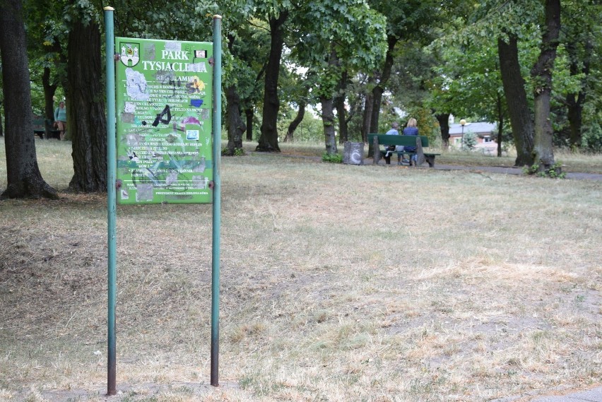 Zielona Góra. Lipiec 2019 rok. Tak obecnie wygląda park...