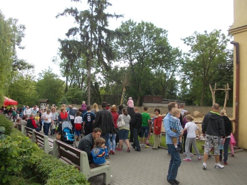 Dzień Dziecka w płockim zoo