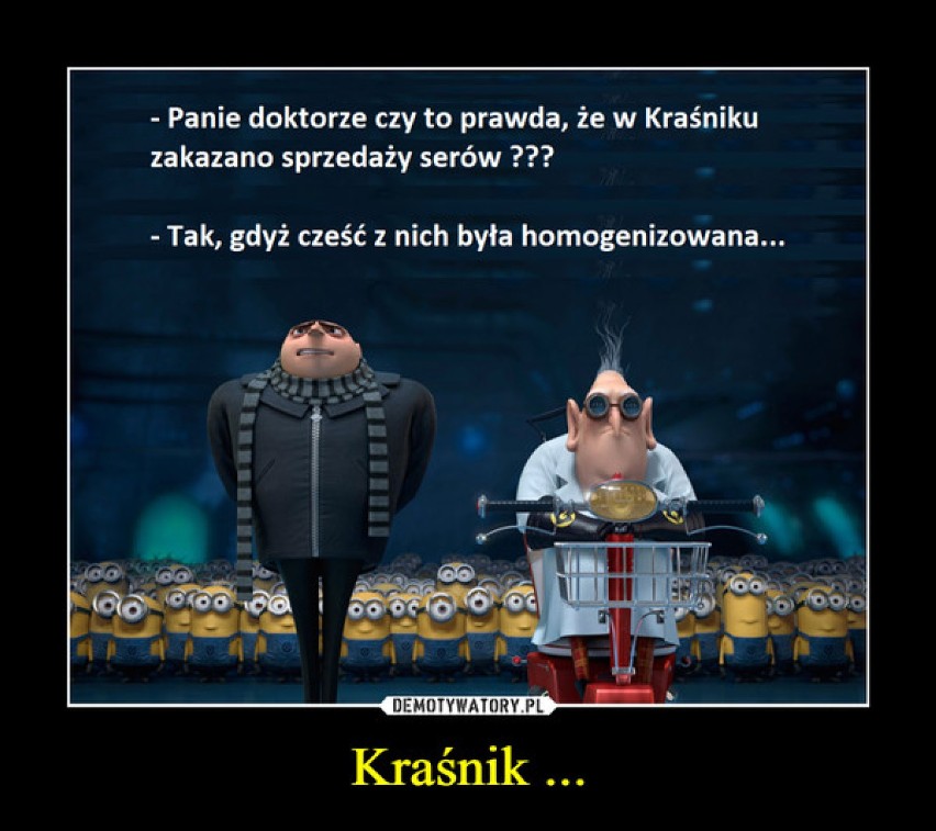 O Kraśniku zrobiło się głośno! MEMY o Kraśniku. Internauci komentują uchwały anty-LGBT i anty-5G