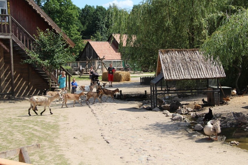 Ziołowy Zakątek to nie tylko miejsce dla miłośników pięknych...