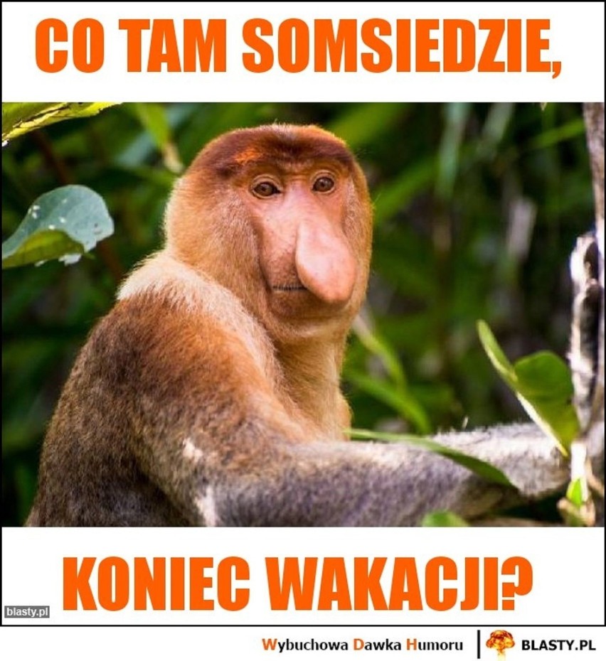 Koniec wakacji w MEMACH. Zobacz, co czują uczniowie przed...