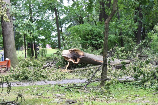 Park Staromiejski Żory: Apel urzędników! Nie wchodźmy do parku!