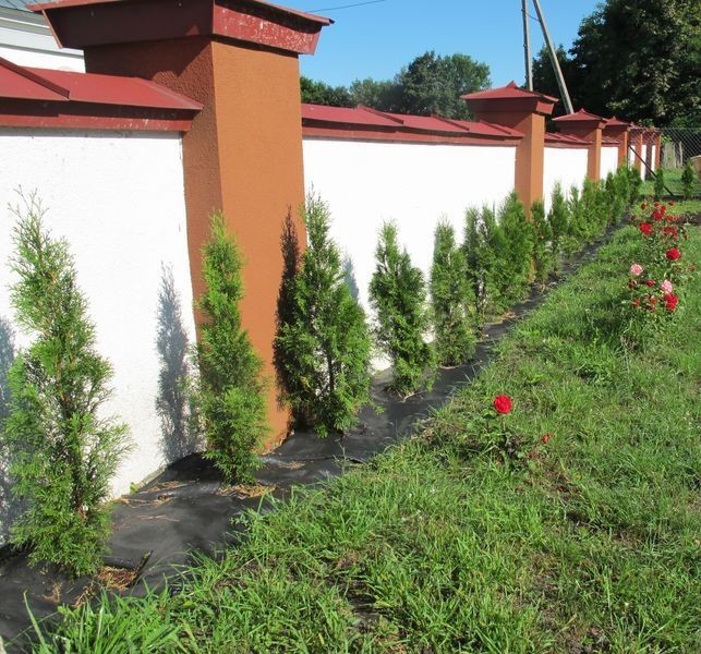 Nowe krzewy, ławeczki i herb pojawiły się przed urzędem gminy i centrum turystycznym w Ostrówku