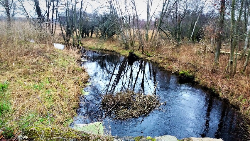 Okolica Pomiłowa