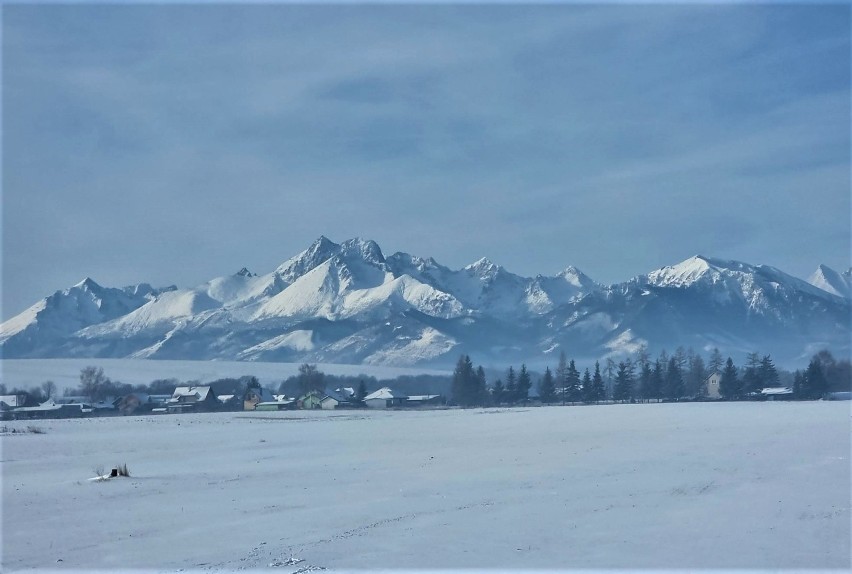 Muszyna. Piękna zimowa wycieczka na Słowację z Tatrami w tle. Ruszyły kursy pociągu dla turystów [ZDJĘCIA]