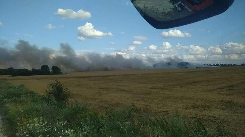 Płonęły ścierniska w powiecie kołobrzeskim. Silny wiatr utrudniał pracę strażakom