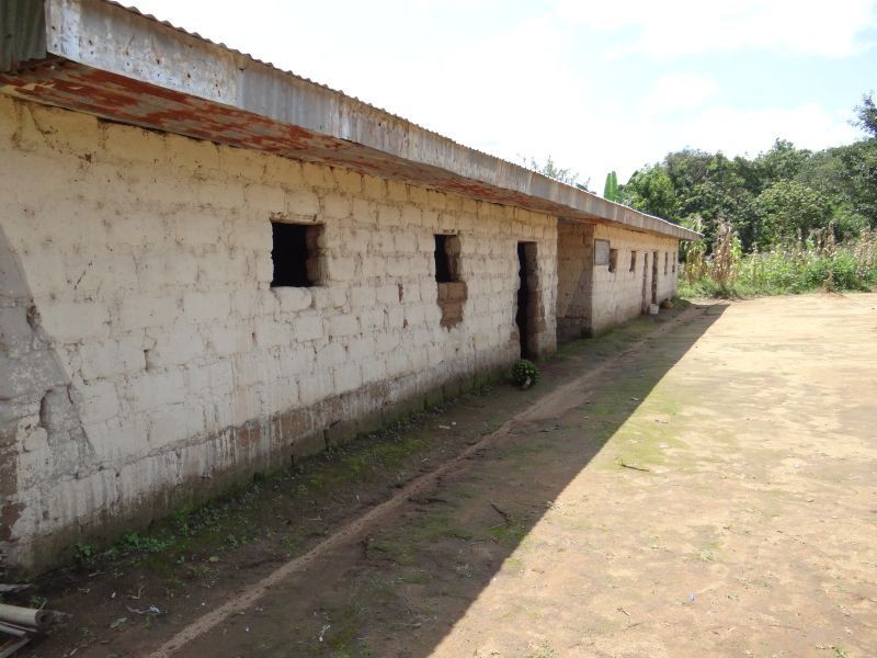 Pszczyna: Szkoła Podstawowa nr 4 bierze udział w projekcie Młodzi dla Kamerunu