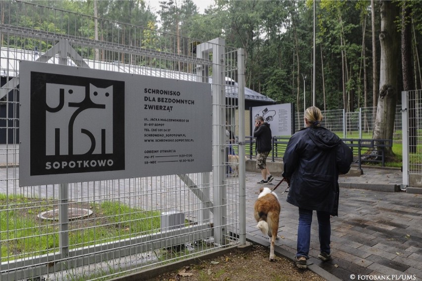 Nowy pięciogwiazdkowy hotel w Sopocie dla zwierząt. "Sopotkowo" przyjęło pierwsze zwierzęta 