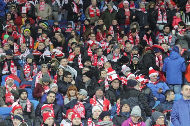 Polska - Korea Płd. na Stadionie Śląskim: tak kibice dopingowali reprezentację Polski

