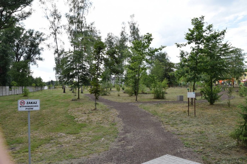 Arboretum w Chełmie Śląskim
