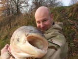 Zobacz koniecznie! Ogromna ryba wyłowiona z Odry (FILM, ZDJĘCIA)
