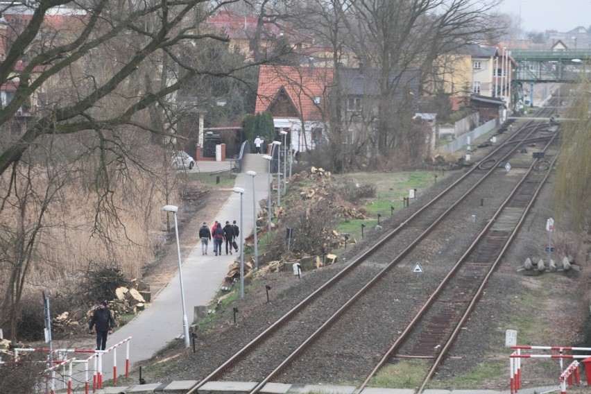 Wolsztyn: Wycinka drzew w mieście wzbudza kontrowersje 