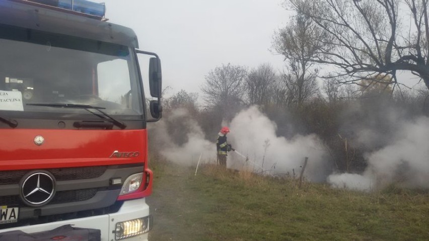 Pożar torfowiska w okolicach miejscowości Bałtrucie